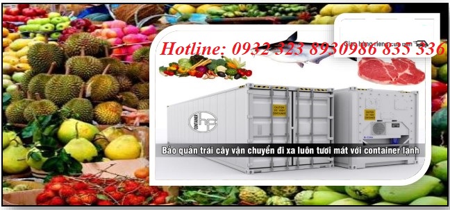 Thuê xe đông lạnh chở hàng vận chuyển thực phẩm tại  Hà Nội  đi tỉnh